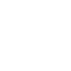 TRANSTV