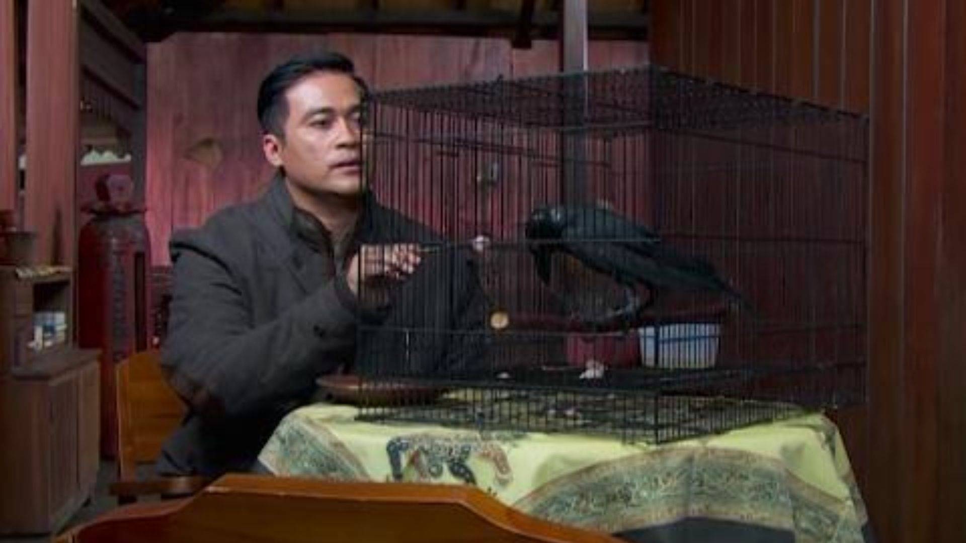 VISION+ - 7 Manusia Harimau / S3 E202 Episode 202